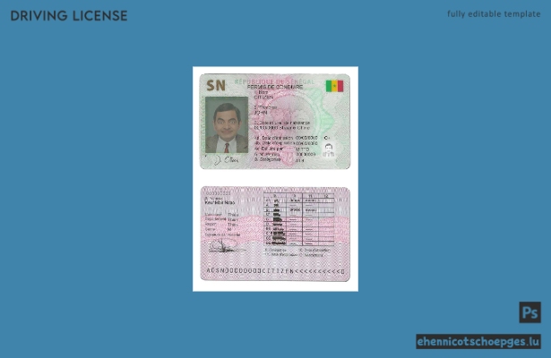 Beispiel für einen senegalesischen Führerschein